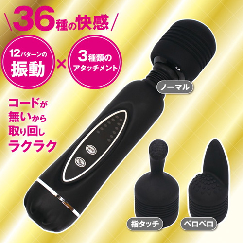 3WAY ハンディデンマ画像2