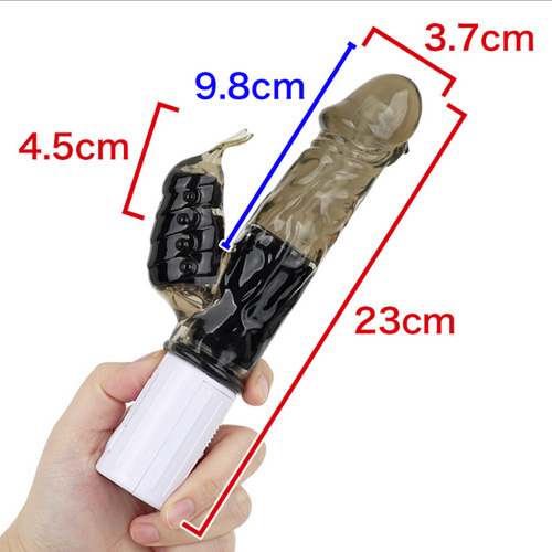 バイブキングプラス画像2