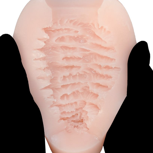 Camphorencer カンフルエンサー画像7