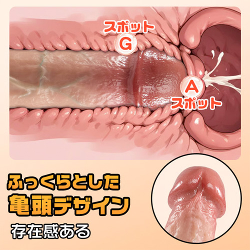 ふっくら亀頭 デュアルシリコン 吸盤付き リアルディルド画像2