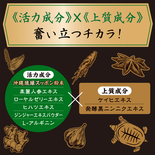 ストロングD スッポンドリンク 極皇連撃 漢皇一撃画像7