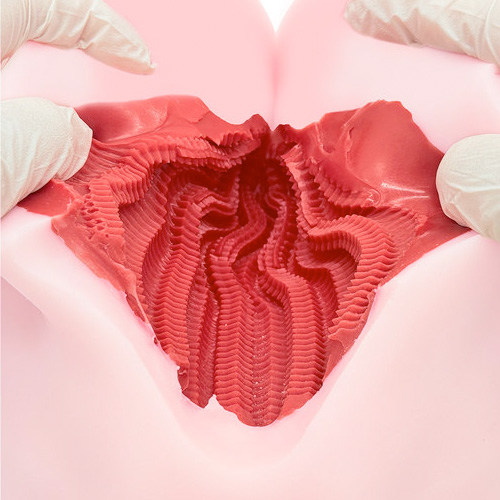 床オナ式マウントプレスONE画像4