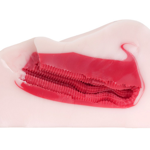 床オナ式マウントプレスONE画像6