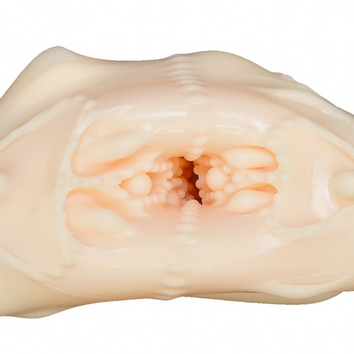 Secret Mistress シークレット ミストレス画像7