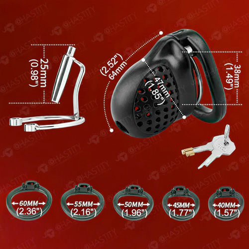 APケージ貞操帯画像3