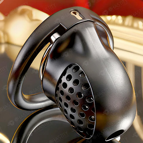 APケージ貞操帯画像5