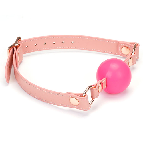 Liebe Seele Pink Dream リーベゼーレ ピンクドリーム 口枷画像3