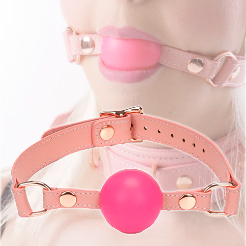 Liebe Seele Pink Dream リーベゼーレ ピンクドリーム 口枷