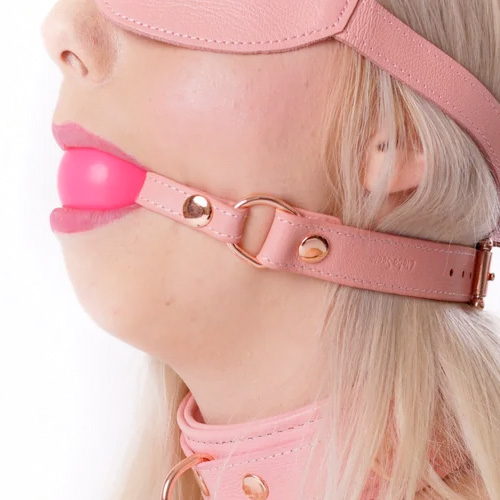 Liebe Seele Pink Dream リーベゼーレ ピンクドリーム 口枷画像7