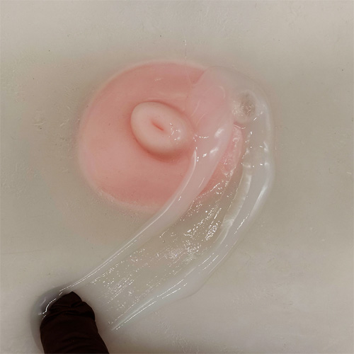 白濁ふたなりローション おんなのこの匂い画像5