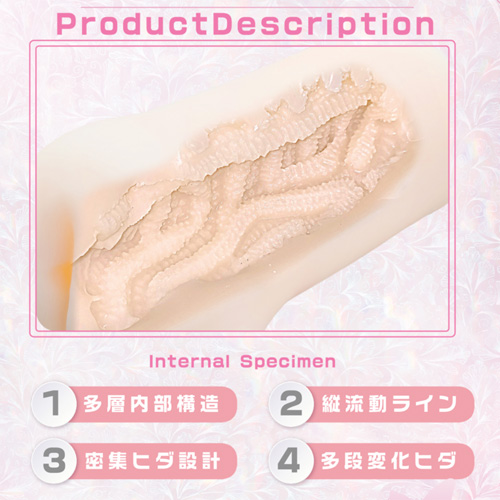 感触標本 Nejire Tsutsumi画像2