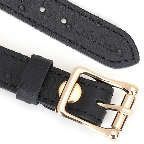 Liebe Seele Demons Kiss リーベゼーレ デーモンズキス 口枷画像6