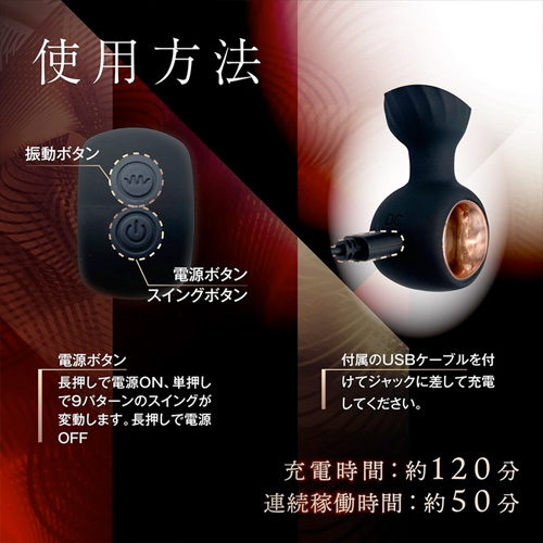 SHIRIPURA スイングプラグ画像5