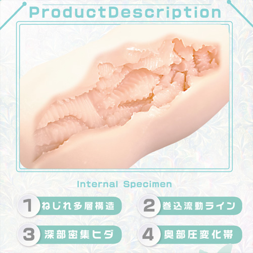 感触標本 Nejire Tsutsumi画像5