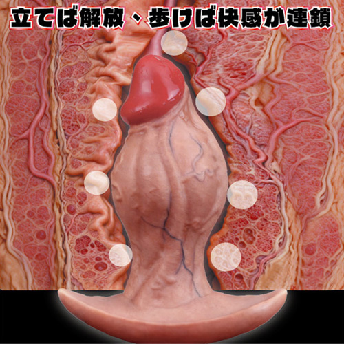 爆拡張感 Dick Plug ディックプラグ画像5