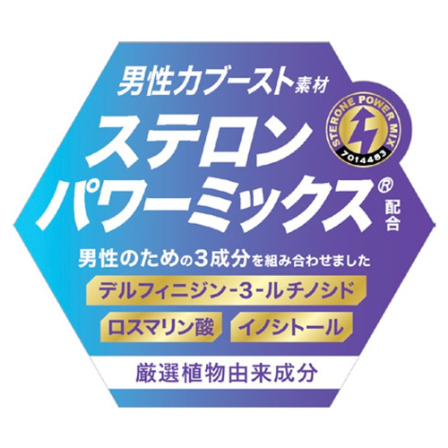 テスロン パワーブレイド画像4