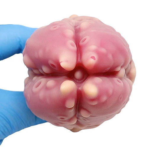 吞噬 KoX Plug コックス・プラグ【薔薇画像7