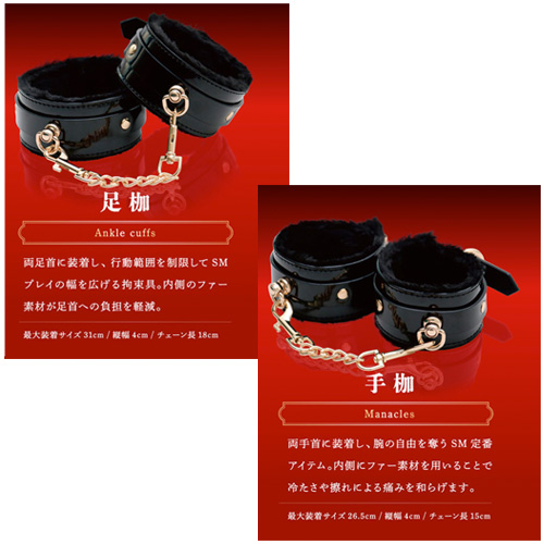 本格SMプレミアムセット画像5
