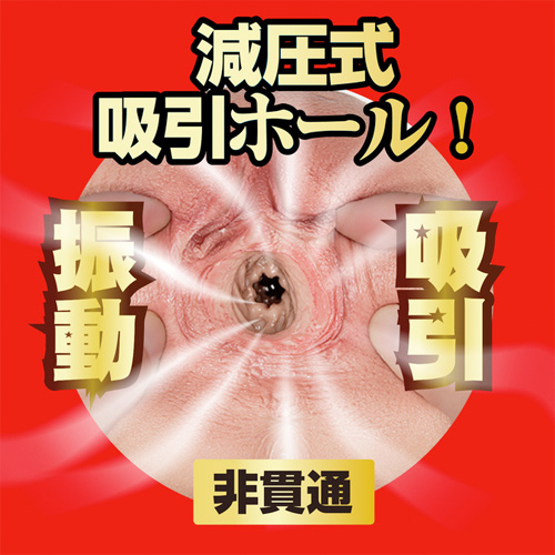 電動 吸淫鳴器 宮下玲奈画像3