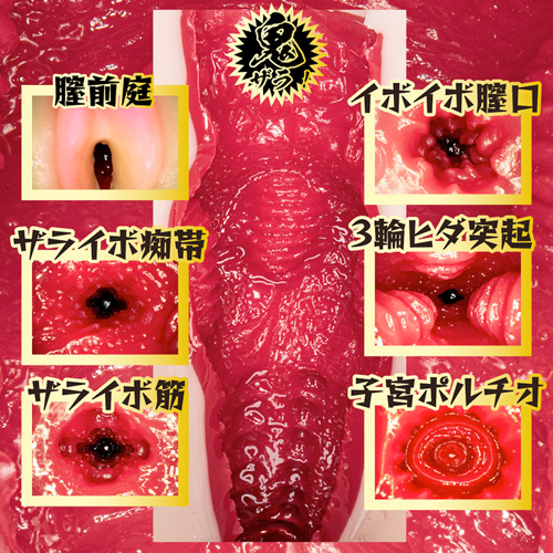 鬼ザラ快感名器 椿りか画像6