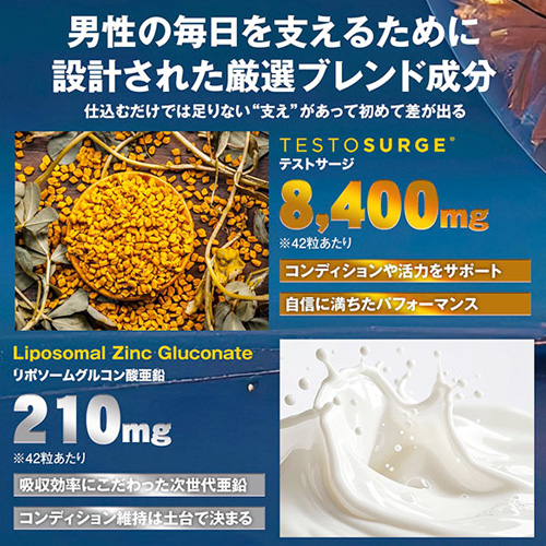 PHENIMAX フェニマックス画像6