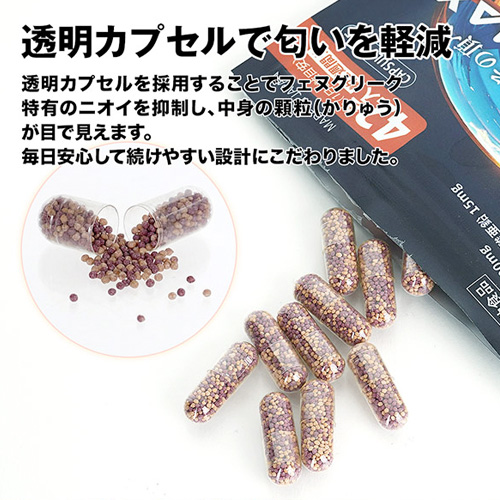 PHENIMAX フェニマックス画像7