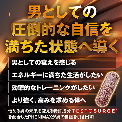 PHENIMAX フェニマックス画像5