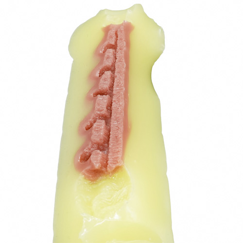 締めイキ！ケモモーン画像4