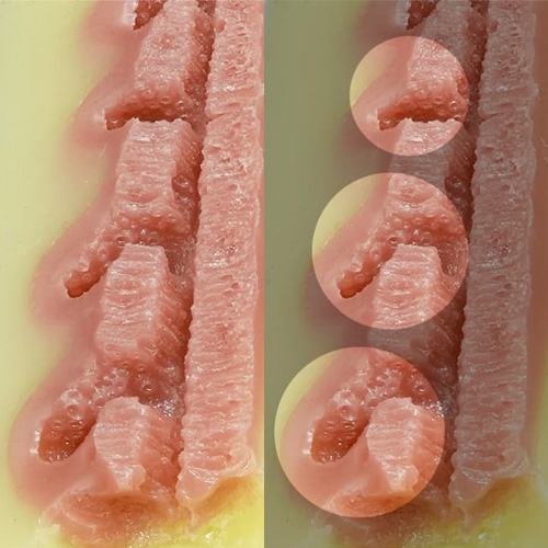 締めイキ！ケモモーン画像7