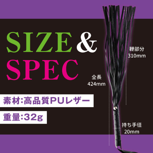 快感ウィップ画像5