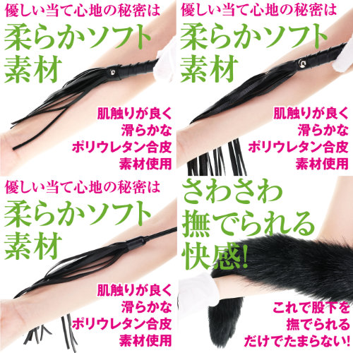 快感ウィップ画像3
