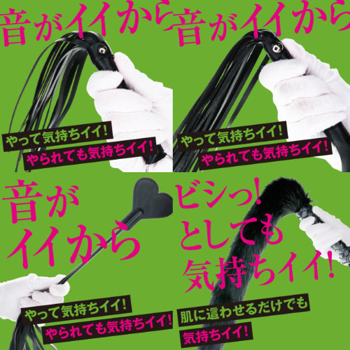 快感ウィップ画像2