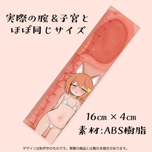 おまんこ断面図定規画像2