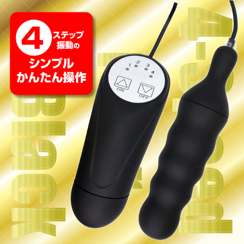 4ステップローター画像2