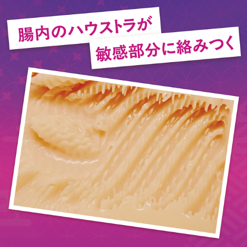 天龍寺琴のアナル画像3