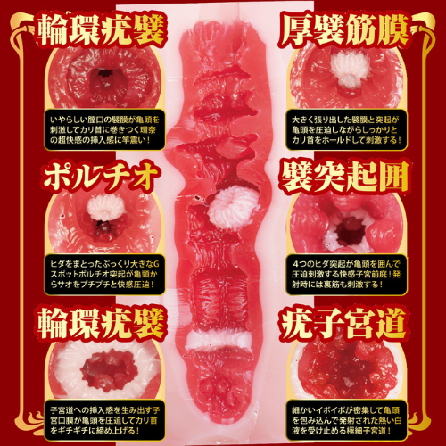 名器の証明 16 特別版 瀬戸環奈画像3