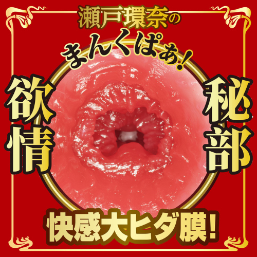 名器の証明 16 特別版 瀬戸環奈画像2
