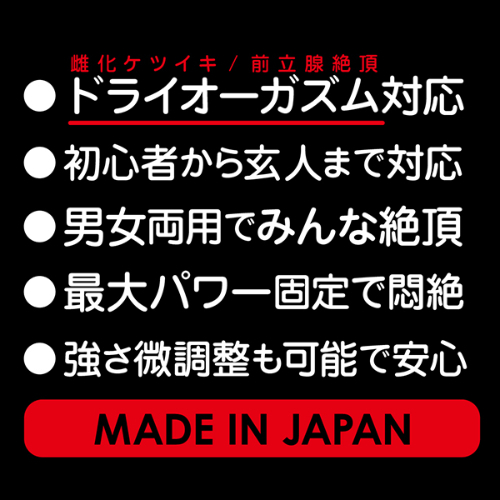 日本製のア●ルバイブ画像5