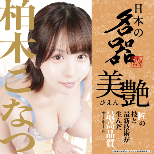 日本の名器 美艶 柏木こなつ画像4
