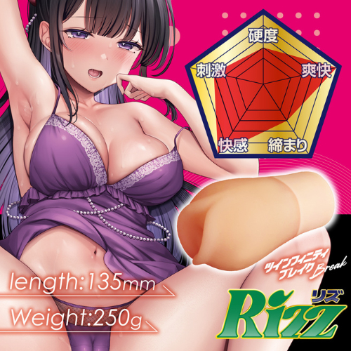 ツインフィニティ ブレイク リズ画像5