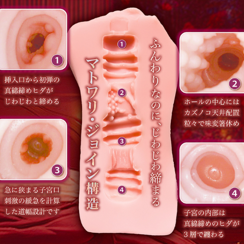 秘めごと淫モラル画像5