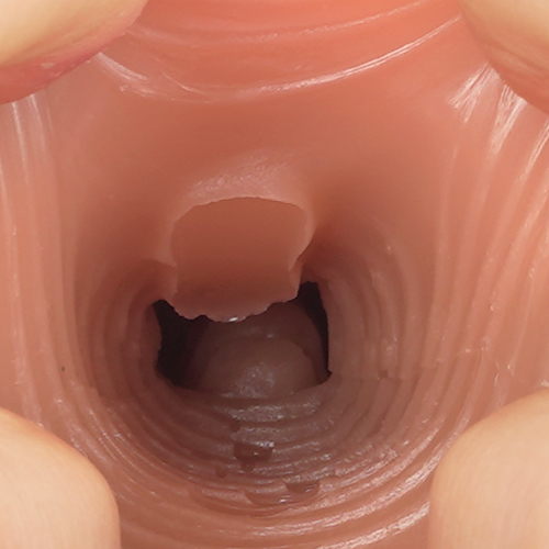肉床画像5