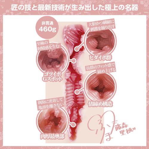 日本の名器 美艶 藤森里穂画像5