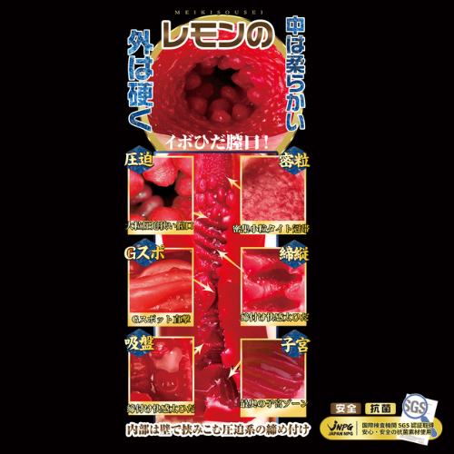 電動 名器創生2 田中レモン画像4