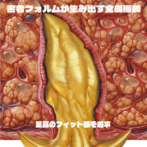 極太脱着ローター式プラグ ア●ル覚醒振動画像3