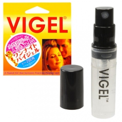 燃えるワンナイトバイジェル (VIGEL)