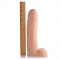 Towering Tom 11 Inch Flesh Dildo トム・フレッシュディルド