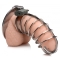 Stainless Steel Spiked Chastity Cage